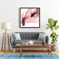 Encadré 24 x 24 - Poissons betta rouge