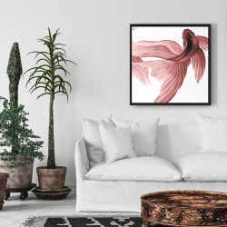 Encadré 24 x 24 - Poissons betta rouge