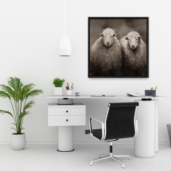 Encadré 24 x 24 - Moutons sépia