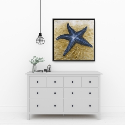 Encadré 24 x 24 - Belle étoile de mer
