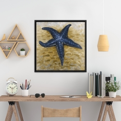 Encadré 24 x 24 - étoile de mer bleu