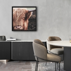 Encadré 24 x 24 - Vache highland désaturée