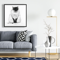 Framed 24 x 24 - Blue eyes fluffy siamese cat