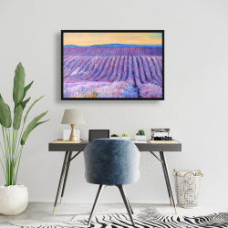 Framed 24 x 36 - Landscape of a field of lavender