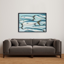 Framed 24 x 36 - Small fish of caesio caerulaurea