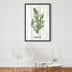 Encadré 24 x 36 - Estragon sur bois