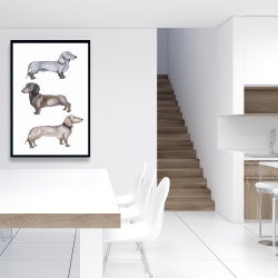 Encadré 24 x 36 - Chiens teckel