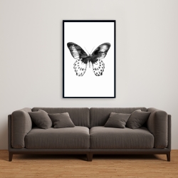 Encadré 24 x 36 - Papillon noir