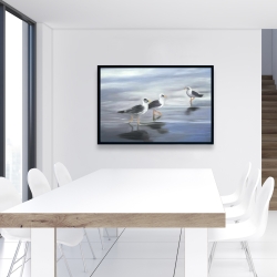 Framed 24 x 36 - Three gulls