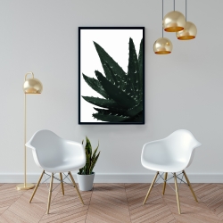 Encadré 24 x 36 - Plante aloès