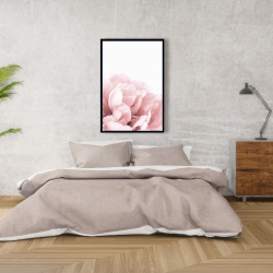 Encadré 24 x 36 - Peonie, fleur de rêve