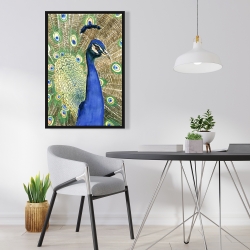 Encadré 24 x 36 - Paon
