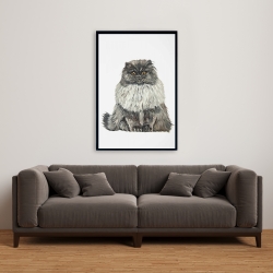 Encadré 24 x 36 - Chat persan gris bleu