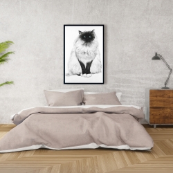 Framed 24 x 36 - Blue eyes fluffy siamese cat