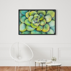 Encadré 24 x 36 - Succulent à l'aquarelle