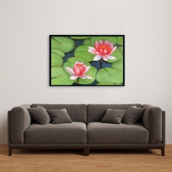Encadré 24 x 36 - Fleurs de lotus dans un marais