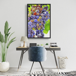 Framed 24 x 36 - Bunch of grapes