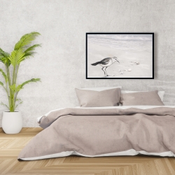 Framed 24 x 36 - Semipalmated sandpiper