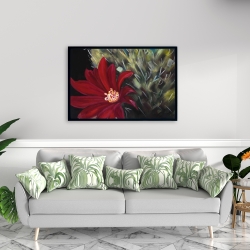 Framed 24 x 36 - Echinopsis red cactus flower