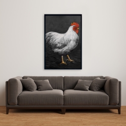 Encadré 24 x 36 - Poule grise 2