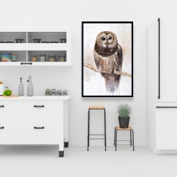 Framed 24 x 36 - Barred owl