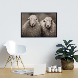 Encadré 24 x 36 - Moutons sépia