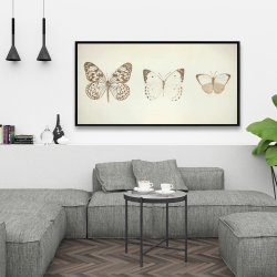 Framed 24 x 48 - Sepia butterflies