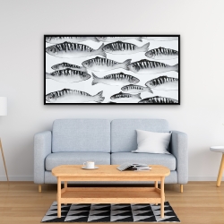 Framed 24 x 48 - Gray shoal of fish