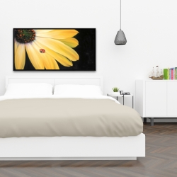 Framed 24 x 48 - Yellow daisy and ladybug