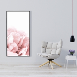 Encadré 24 x 48 - Peonie, fleur de rêve