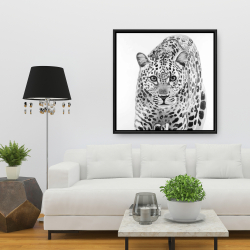 Framed 36 x 36 - Leopard ready to attack