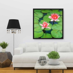 Framed 36 x 36 - Lotus flowers in a swamp