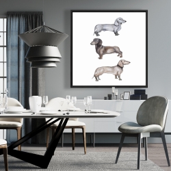 Encadré 36 x 36 - Chiens teckel