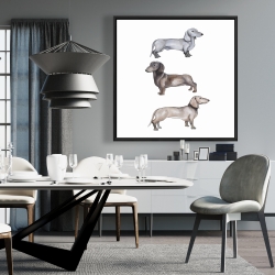 Framed 36 x 36 - Dachshund dogs