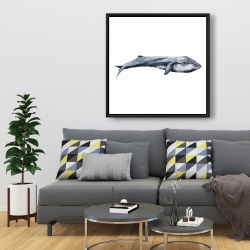 Encadré 36 x 36 - Baleine en aquarelle