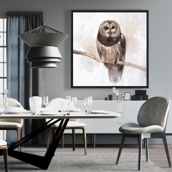 Framed 36 x 36 - Barred owl