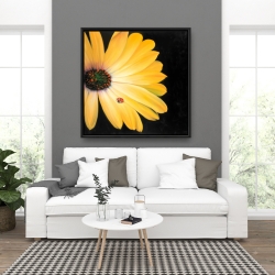 Framed 36 x 36 - Yellow daisy and ladybug