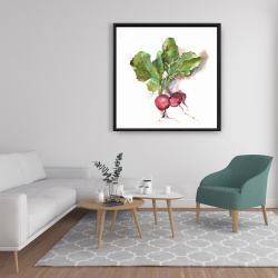 Encadré 36 x 36 - Radis à l'aquarelle