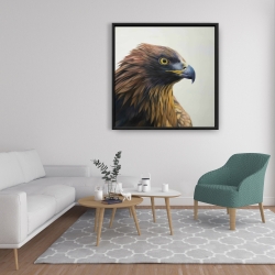 Framed 36 x 36 - Brown-headed eagle