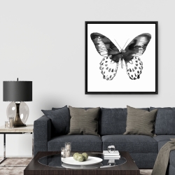 Encadré 36 x 36 - Papillon noir