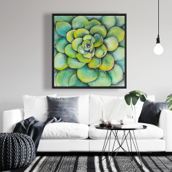 Encadré 36 x 36 - Succulent à l'aquarelle
