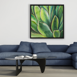 Encadré 36 x 36 - Plante d'agave à l'aquarelle