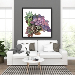Framed 36 x 36 - Succulent plant