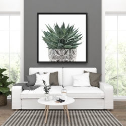 Framed 36 x 36 - Zebra plant succulent