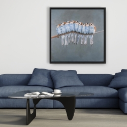 Framed 36 x 36 - Bunch of small birds on a branch