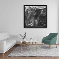 Framed 36 x 36 - Monochrome portrait highland cow
