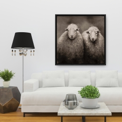 Encadré 36 x 36 - Moutons sépia