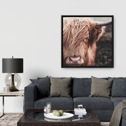 Encadré 36 x 36 - Vache highland désaturée