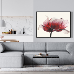 Encadré 36 x 48 - Fleur anémone