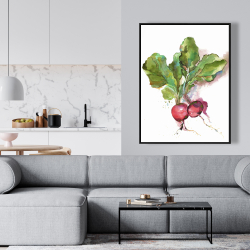 Encadré 36 x 48 - Radis à l'aquarelle